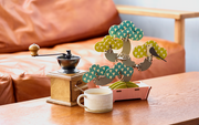 Play Plants Bonsai Puzzles - Classic Shelf Buddy