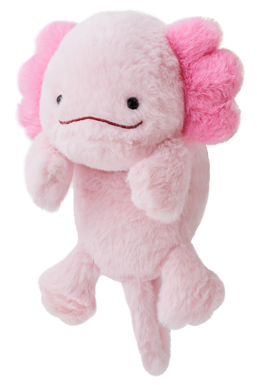 Posture Pal - Mini Style
