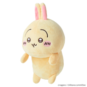 Posture Pal - CHiiKAWA - Surprise Display Pick