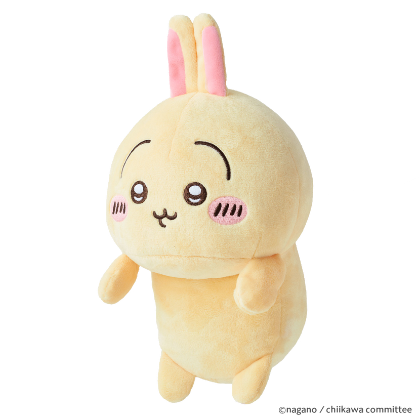 Posture Pal - CHiiKAWA - Surprise Display Pick
