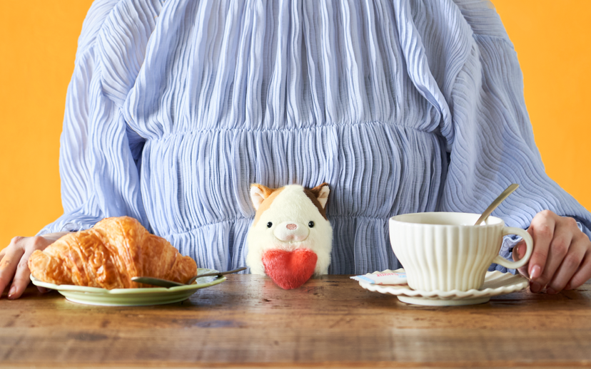Posture Pal - Sweet Choice