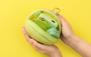 SMISKI Cushion Pouch - Cozy Choice