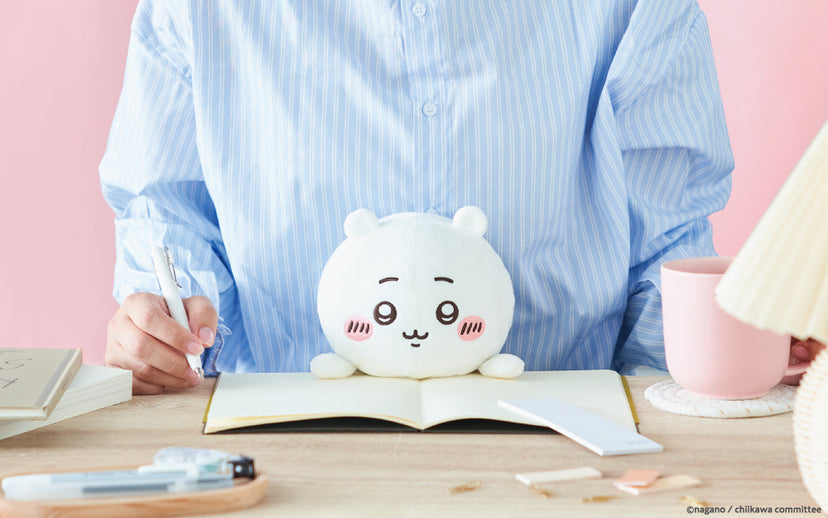 Posture Pal - CHiiKAWA - Surprise Display Pick