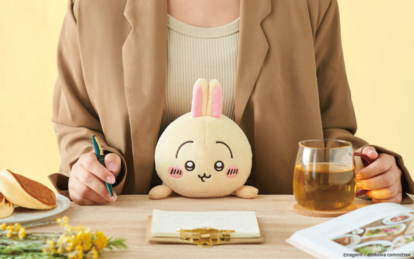 Posture Pal - CHiiKAWA - Surprise Display Pick