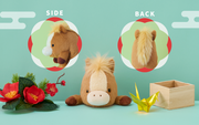 Posture Pal - Happy Display Accent