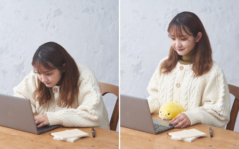 Posture Pal - Collector Gift Style