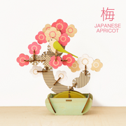 Play Plants Bonsai Puzzles - Classic Shelf Buddy