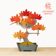 Play Plants Bonsai Puzzles - Classic Shelf Buddy