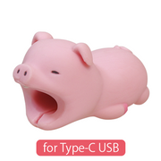 CABLE BITE for Type-C USB - Bright Buddy