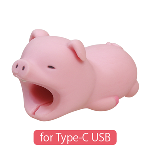 CABLE BITE for Type-C USB - Bright Buddy