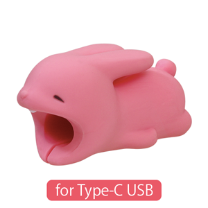 CABLE BITE for Type-C USB - Bright Buddy